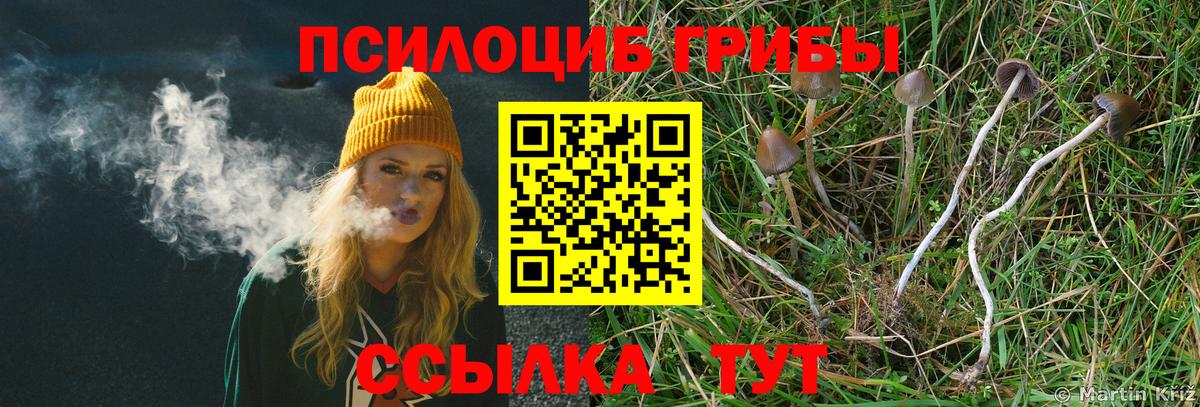 Галлюциногенные грибы мухоморы Свободный